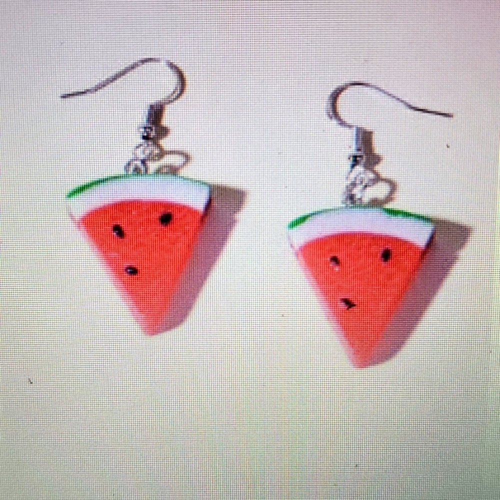 🆕️WATERMELON 🍉 EARRINGS